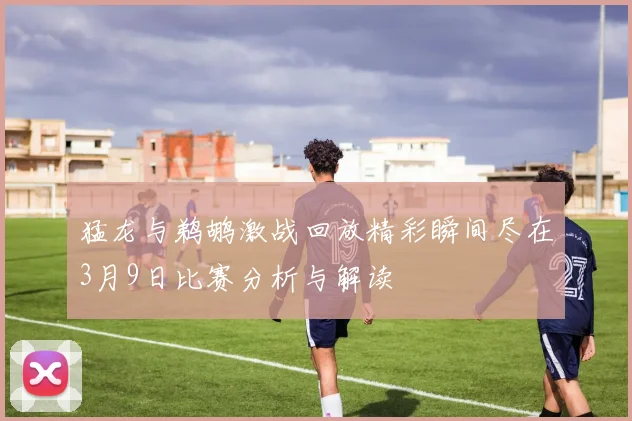 猛龙与鹈鹕激战回放精彩瞬间尽在3月9日比赛分析与解读