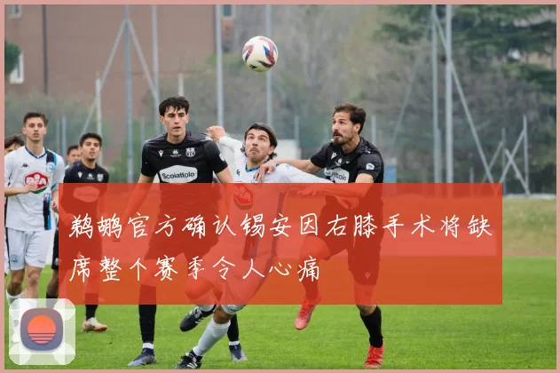 鹈鹕官方确认锡安因右膝手术将缺席整个赛季令人心痛