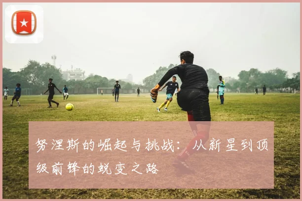 努涅斯的崛起与挑战：从新星到顶级前锋的蜕变之路