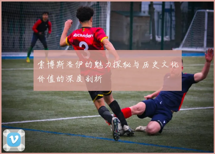 索博斯洛伊的魅力探秘与历史文化价值的深度剖析