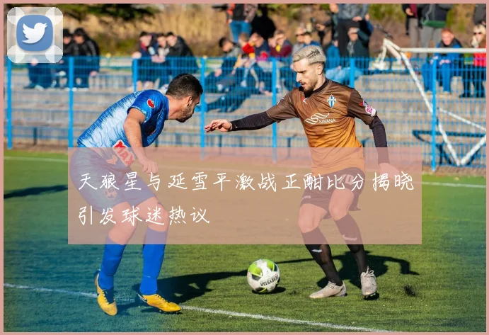 天狼星与延雪平激战正酣比分揭晓引发球迷热议