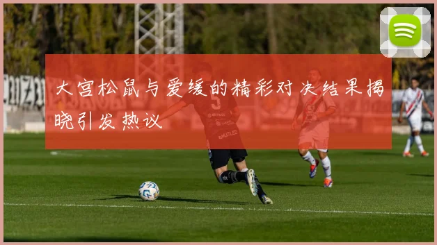 大宫松鼠与爱缓的精彩对决结果揭晓引发热议